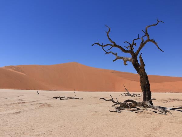 Cape Town to Victoria Falls small group camping safari