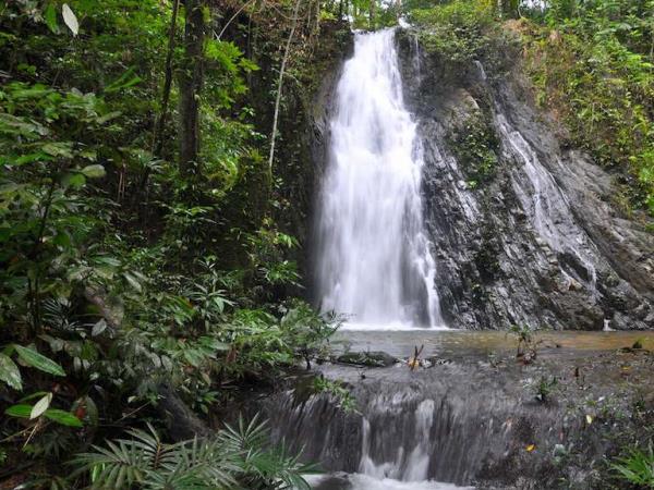Sarawak holiday, wildlife adventure