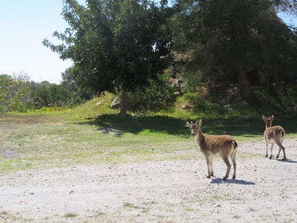 Self guided walking tours in Andalucia