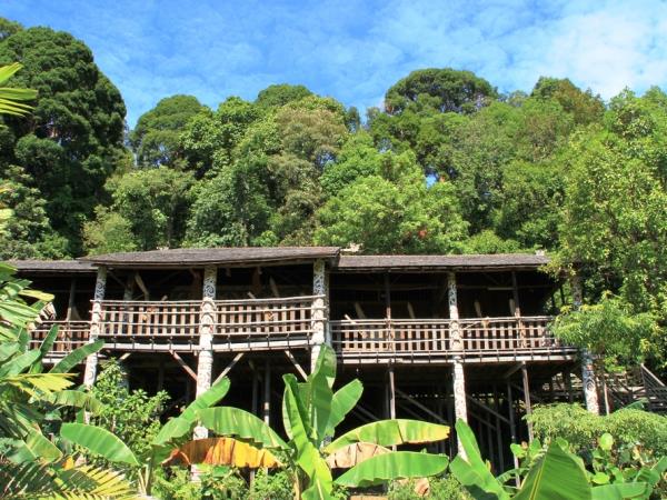 Sarawak holiday, wildlife adventure