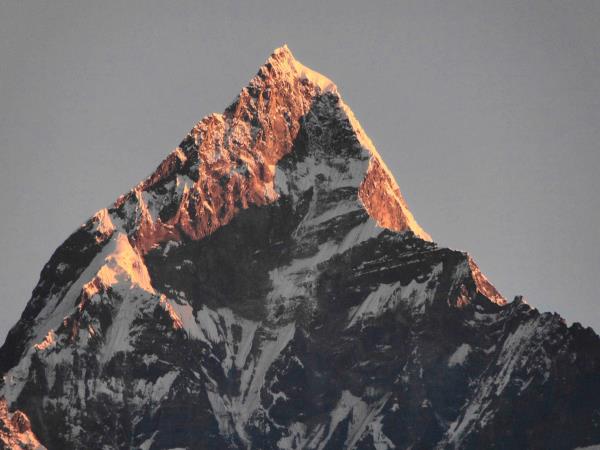 Annapurna Sanctuary trek & Chitwan safari
