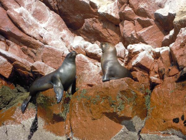 Southern Peru holiday, tailor made