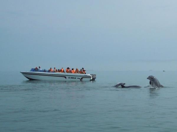 Peru holiday, Andes to the Amazon