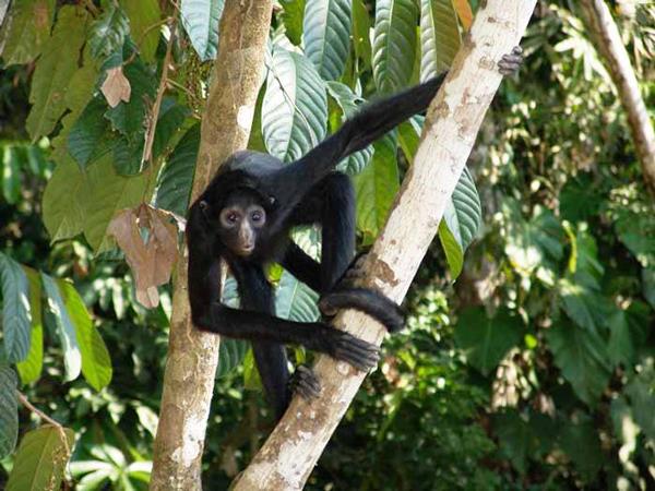 Peru holiday, Andes to the Amazon