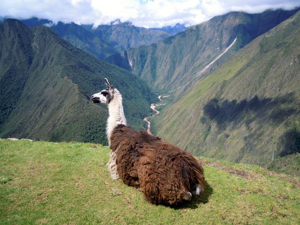 Inca Trail walking tour, Peru