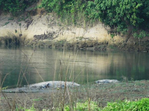 Nepal holiday, encompassed