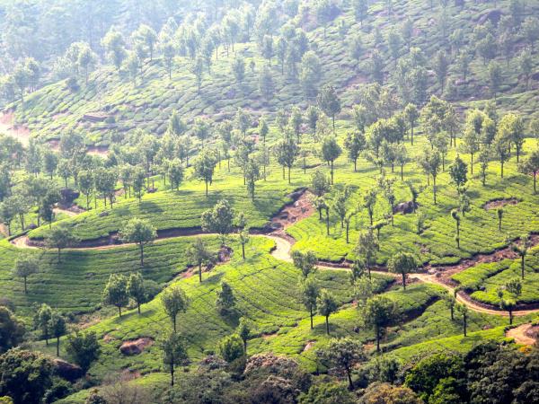 Kerala & Mumbai luxury holiday