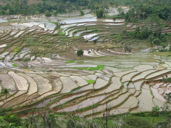 Bali holiday, tailor made