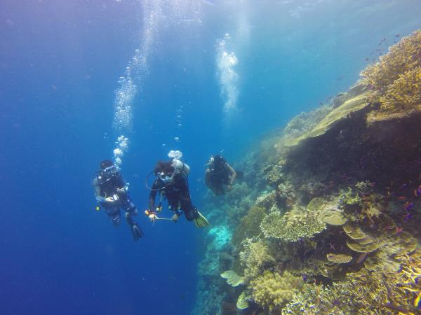 Bali holiday, tailor made