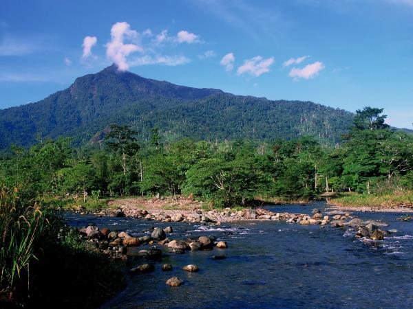Borneo holiday, culture and wildlife