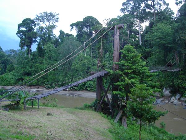 Borneo holiday, culture and wildlife