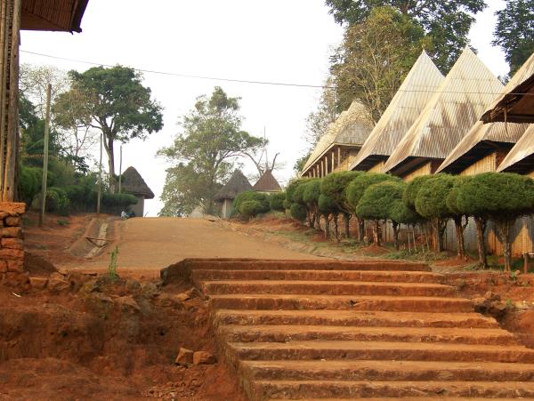 Cameroon small group tour, culture and wildlife