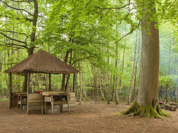 South Downs yurts in Hampshire, England