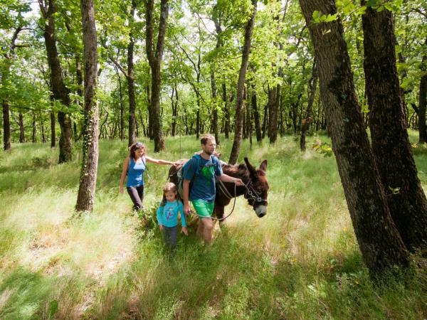 Family walking holidays with a donkey, France