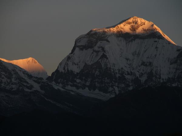 Chitwan safari & rafting in Nepal