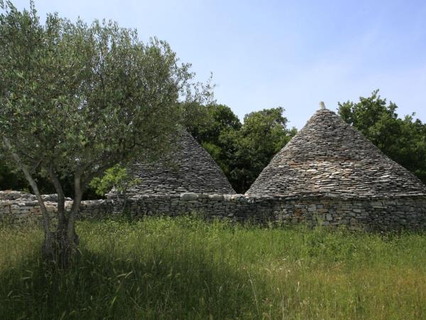 Istria self guided cycling holiday in Croatia