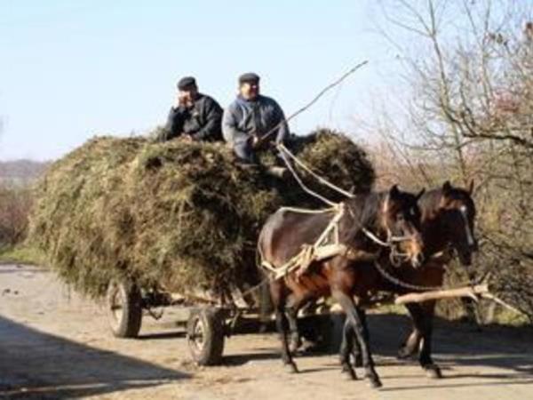 Ukraine cultural tour