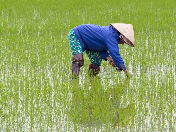 Vietnam photography tour, Ho Chi Minh to Hanoi