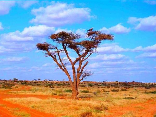 Somaliland cultural tour