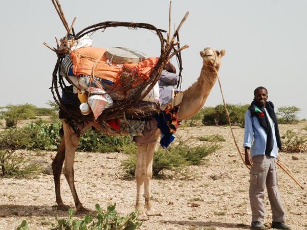 Somaliland cultural tour