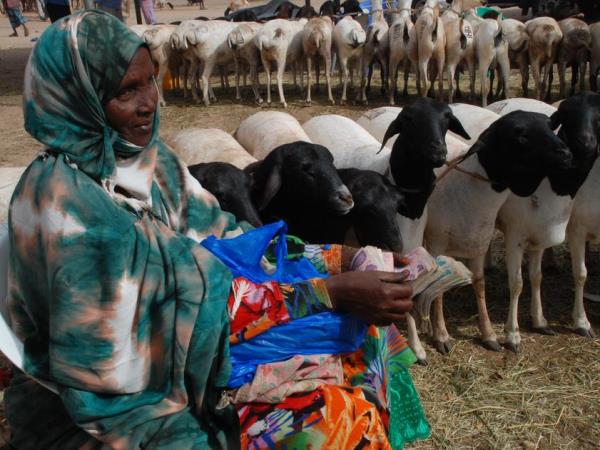 Somaliland cultural tour