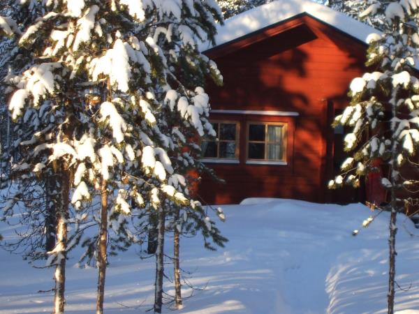 Winter holiday in Finnish Lapland, tailor made