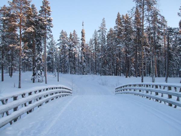 Winter holiday in Finnish Lapland, tailor made
