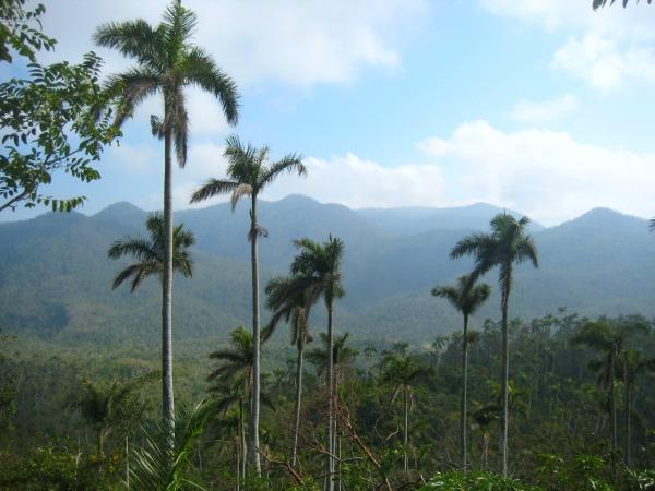 Cuba holiday, culture and nature