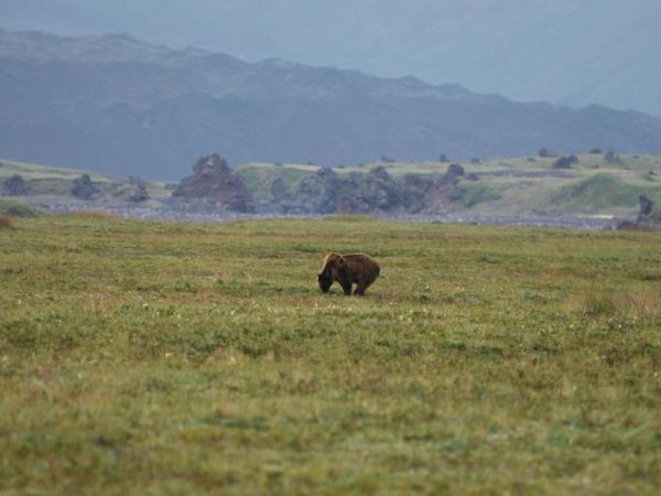 Kamchatka holidays, small group tour