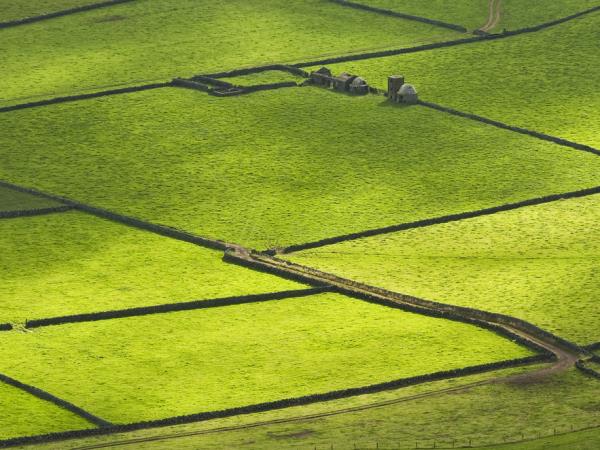 Azores small group tour