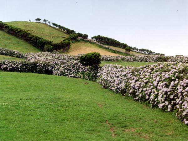 Azores small group tour