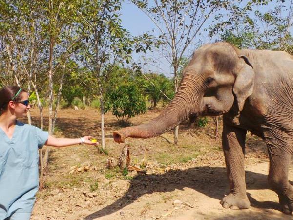 Elephant conservation holiday, Thailand