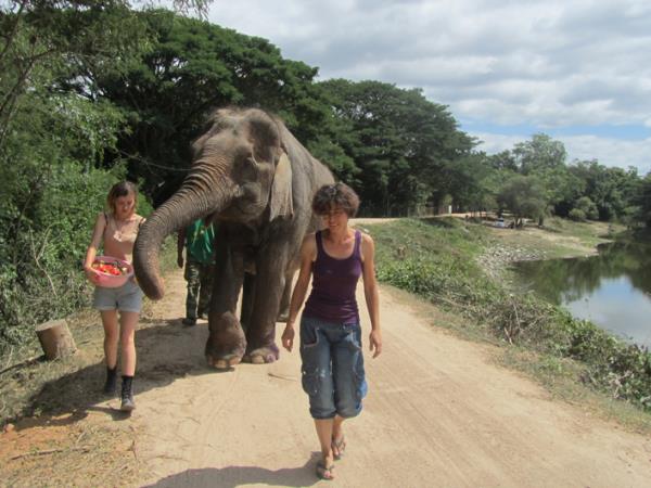 Elephant conservation holiday, Thailand