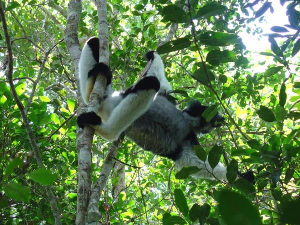 Small group holidays to Madagascar