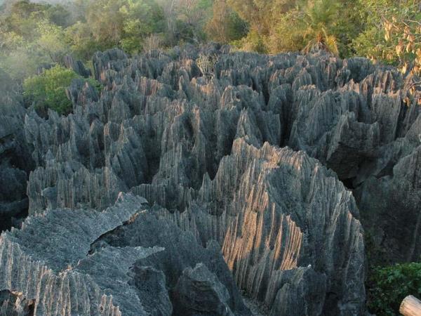 Small group holidays to Madagascar