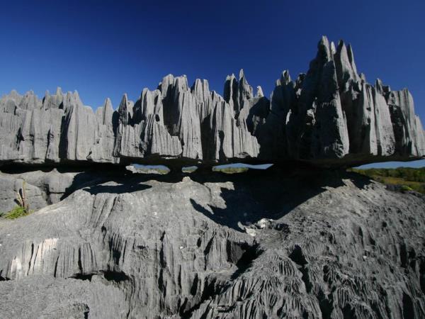 Small group holidays to Madagascar