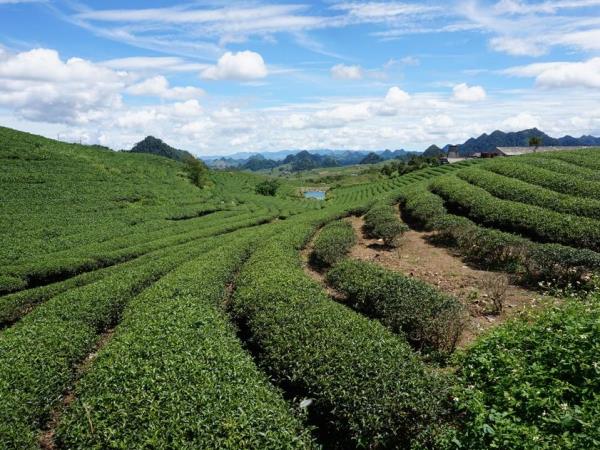 Laos and Vietnam overland tour