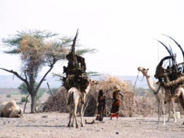 Northern Kenya discovery tour