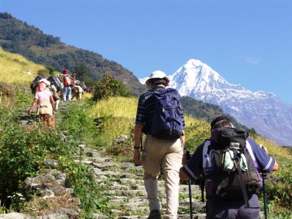 Annapurna Sanctuary and Base Camp trek, Nepal