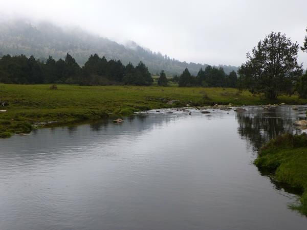 Tailor made Bhutan holidays