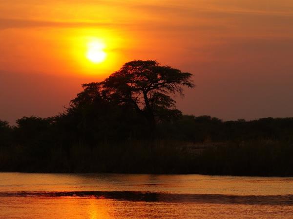 Botswana holiday, tailor made