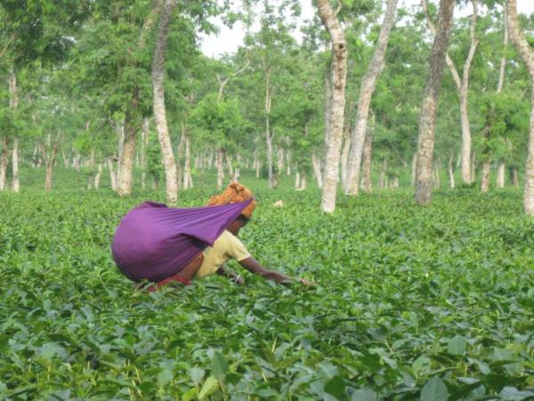 Bangladesh adventure holiday