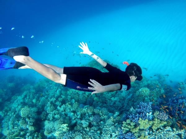 Family scuba diving holidays for certified divers, Red Sea
