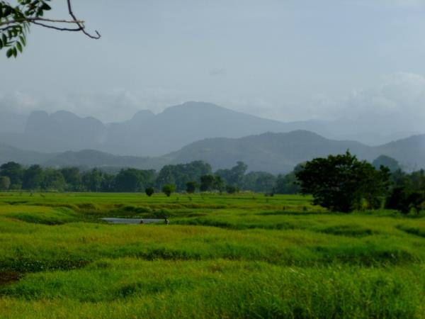 Elephant conservation holiday in Sri Lanka