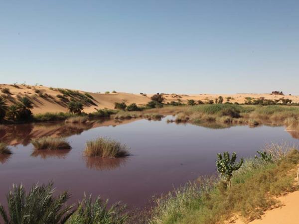 Chad holidays, expedition to the Ennedi