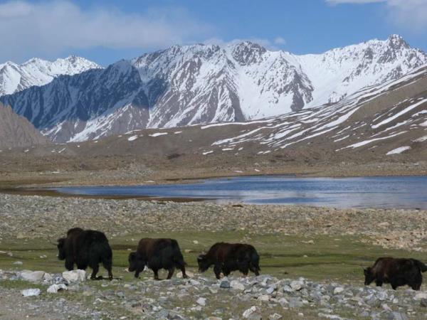 Northern Pakistan holiday