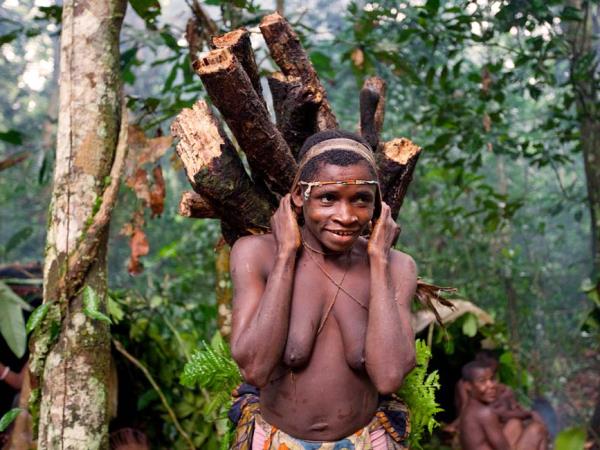 Central African Republic wildlife holiday