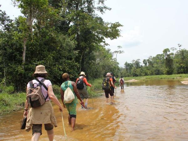 Central African Republic wildlife holiday