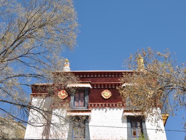 Himalayan tours to Bhutan, Tibet and Nepal