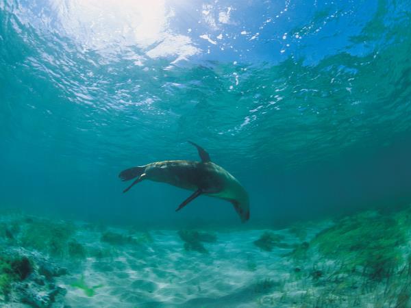 Australia holidays, tailor made